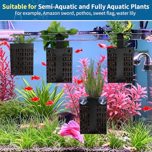 Newly Upgraded Aquarium Plant Holder | Adjustable in Height and Width with Extendable Hook and Suction Cup 4-Pack for Planting Aquatic Plants and Aquariums (Black) - color: Black