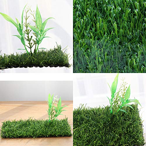 Small Glass Frog Terrarium Kit, 7.8x7.8x5.9'' for Tadpole, Amphibians, Insects Enclosure, Praying Mantis Habitat, with Green Artificial Turf Pad (excluding Animals)