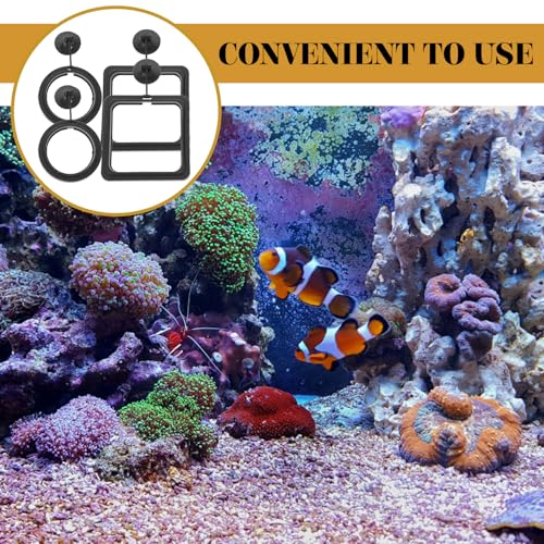 NUOBESTY 4pcs Aquarium Feeding Rings Fish Feeder Circles Wear Resistant Small Fish Tank Feeders Portable Feeding Device for Tropical and Aquarium Use
