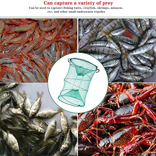 Foldable Fishing Trap for Bait Shrimp Crawfish Minnow Net Portable Accessories 11.8 x 11.8 x 15.7 (30cm x 40cm) 1/4 in Mesh Collapsible Fish Trap - color: 2Pcs