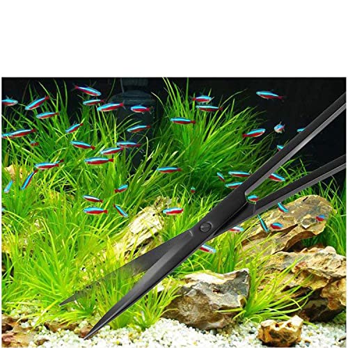 A2Z-Aquascaping Maintenance Tools Accessories,Anti-Rust Stainless Steel Tweezers Scissors Spatula for Aquarium Tank Clean, Fish Tank, Bonsai, Algae Scrapers (12" Scissors - Straight - Black) - size: 12" Scissors - Straight - Black