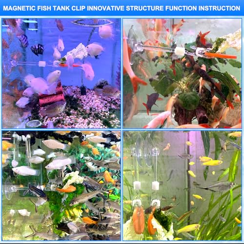 4pcs Suction Cup with Clip Aquarium Suction Cup Clips Seaweed Fish Feeding Clip Saltwater Aquarium Veggie Feeder clamp Fish Accessories (4pcs Suction Cup with Long Clip) - size: 4pcs suction cup with long clip