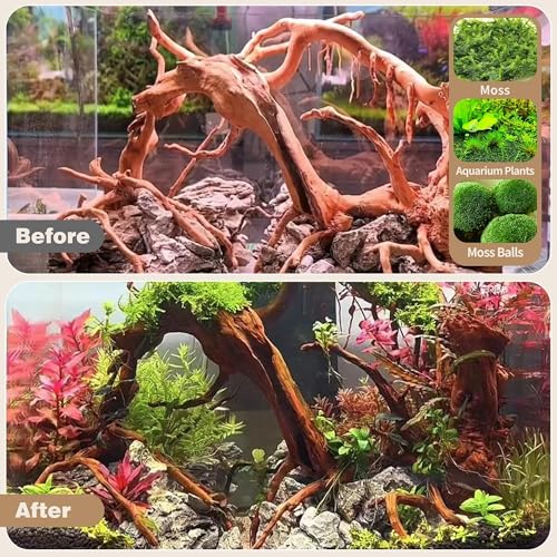 WDEFUN Natural Spiderwood for Aquarium Decor 2-Piece 11''-14'' Long Natural Driftwood Branches for Fish Tank Decorations - size: Spiderwood (11-14 inch pack of 2)