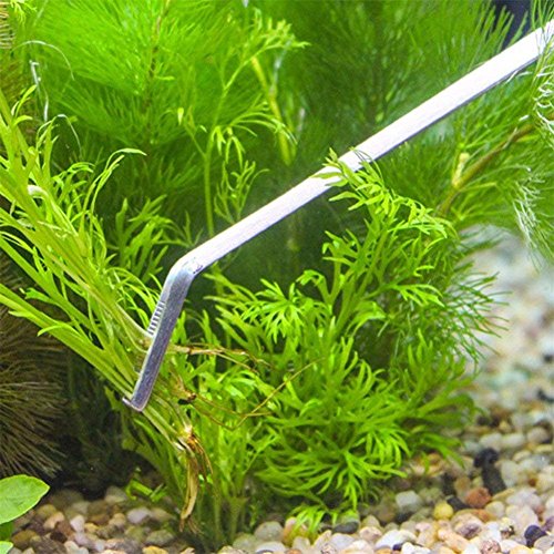 FEITA Aquarium Tweezer Set - Long Stainless Steel Curved & Straight Feeding Tweezers Scissors Maintenance Tools Kit (3 Pcs) - color: Sliver 3pcs
