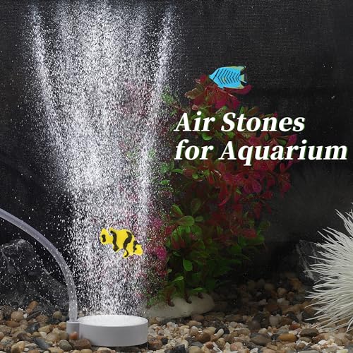 Fish Tank Bubblers Air Stone, Nano Air Disk Stone, Oxygen Diffuser for Air Pump, Air Stone Aquarium Kit, 1.97 Inch, 1 Set