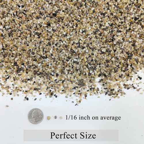 FANTIAN 2 lbs Aquarium Sand. 1/16 Inch Fish Tank Coarse Sand | Natural River Rocks, Decorative Pea Gravel for Turtle Substrate, Terrariums, Vase, Plant, Drainage, Outdoor Garden - size: 1/16 Inch