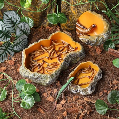 IBWell 5 Inch Reptile Food Dish Escape Proof Reptile Feeding Dish Resin Reptile Water Food Bowl for Bearded Dragon Chameleon Frog Snake Turtle Leopard Gecko - size: 5"