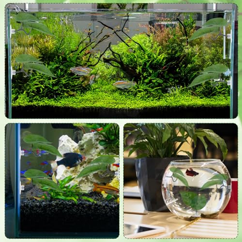 6pcs Double Layer Betta Leaf Hammock, Realistic Plastic Big & Small Leaf Fish Tank Decor with Suction Cups Branches Aquarium Plants for Betta Fish Resting Bed Spawning Ground - style: Style B