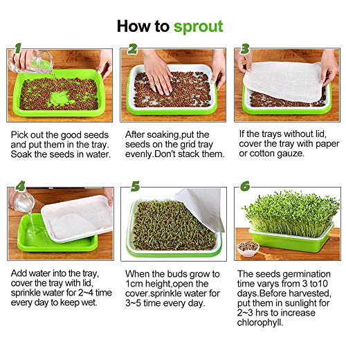 4 Layers Sprout Trays with Extra Strength Plastic Shelf Soil-Free Healthy Wheatgrass Seeds Grower & Storage Trays for Garden Home Office | BPA Free PP Soil-Free Hydroponic Growing & Storage Trays for Mung Beans, Microgreens, Wheatgrass for Home, Indoor Ga