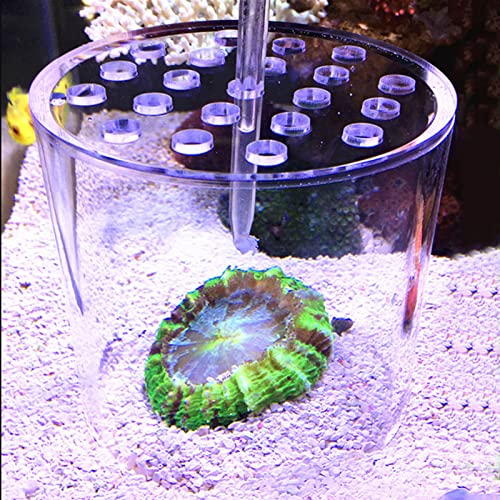 Acrylic Transparent Feeder Cover, Anti Feeding Shrimp Aquarium Accessory, Feeding with Feeding Tube for Fish Tank, Safe Reproduction Cover for Marine Life (100mm) - style: 100mm