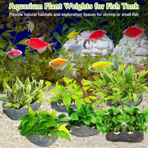 Hamiledyi Drilled Pebble Aquatic Plant Anchors Water Plants Fixed Ring Natural River Stone Plant Weights for Fish Tank Aquarium Decorations Landscape Stones(Aperture: 0.8" 2holes 6pcs)