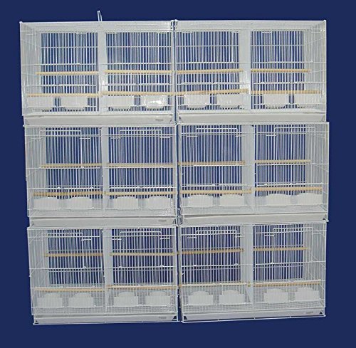 Small Breeder Breeding Cages with Center Dividers, Pack of 6, 24 x 16 x 16 H inches (24 x 16 x 16 H inches, White) - color: White