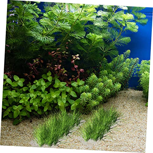 2pcs Aquatic Mesh Sturdy Mesh Pad Mesh Nets Aquarium Cleaners Aquarium Filter Pad Aquarium Mesh Pads Aquatic Wall Mesh Bendable Net Stainless Steel Plant Stand Multifunction - size: 30x20cm