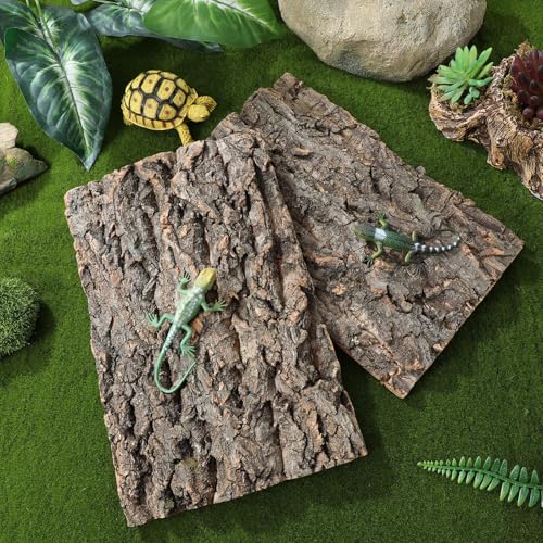 Kisangel 2 Pcs Cork Bark Fish Tank Decoration 11.81 X 7.87 X 0.39 in Reptile Climbing Decor Terrarium Bark Background for Bearded Dragon Lizard Habitat Aquarium Landscaping Ornament