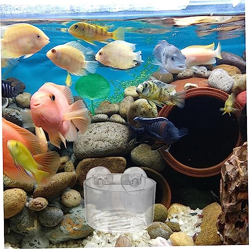 BESPORTBLE 4pcs Acrylic Feeding Cups for Aquariums Transparent Shrimp Feeder Dishes with Suction Cup Design Easy to Install Promotes Healthy Eating for Fish and Shrimp
