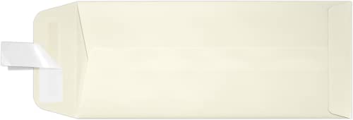 LUXPaper #10 Policy Business Envelopes | Peel & Press | 4 1/8" x 9 1/2" | Natural Linen | 80lb. Text | 50 Qty - color: Natural Linen, size: 50 Qty