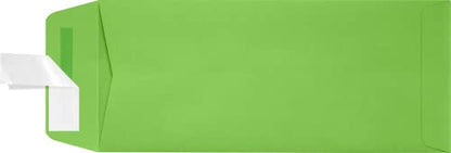 LUXPaper #10 Policy Business Envelopes | Peel & Press | 4 1/8" x 9 1/2" | Limelight Green | 80lb. Text | 50 Qty - color: Limelight Green, size: 50 Qty