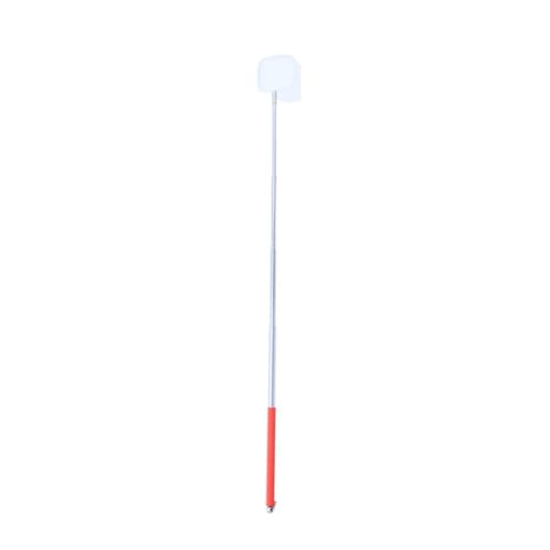 HEMOTON Telescopic Net Made for Aquariums Shrimp Net Fish Easy to Use Secure Attachment