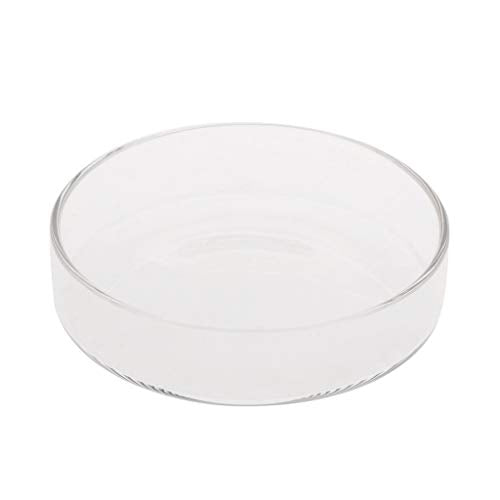 Shrimp Feeder Dish Glass Feeding Tray Aquarium Fish For Tank Reptiles Round Bowl 3.9in 3.5in 3.2in 3.0in 2.6in 2.4i Fish Tank Supplies Shrimp Feeder Tube Shrimp Feeder Dish Shrimp Feeder Dish And
