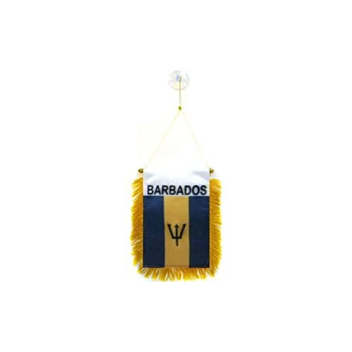 AZ FLAG Barbados Car Flag 4x6 in 100D Polyester Suction Cup - color: Barbados