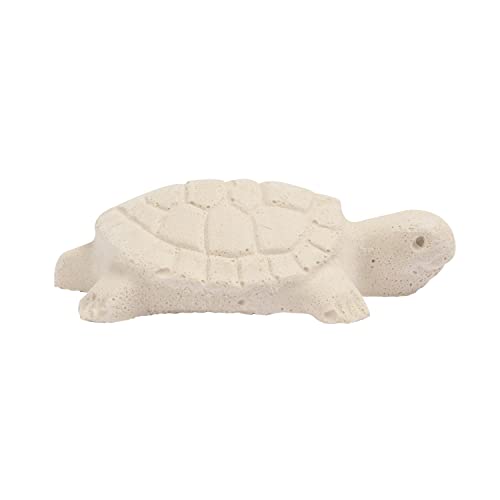 TetraFauna ReptoGuard Turtle Health Water Conditioner 1 Count, Slow-Release (Pack of 2) - size: 1-Count (Pack of 2)