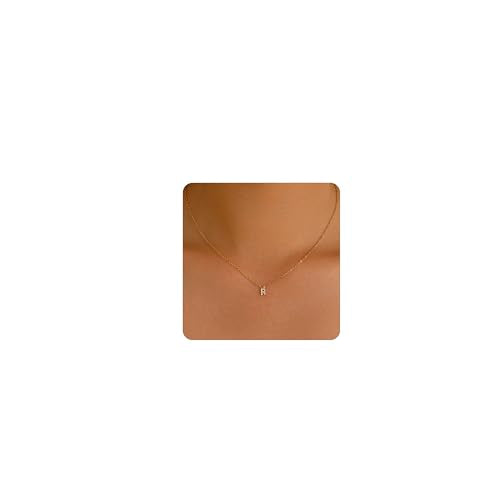Small Letter Necklace for Women 18K Gold Plated Cubic Zirconia Tiny Initial Necklace Dainty Personalized Name Necklaces - color: R-Gold