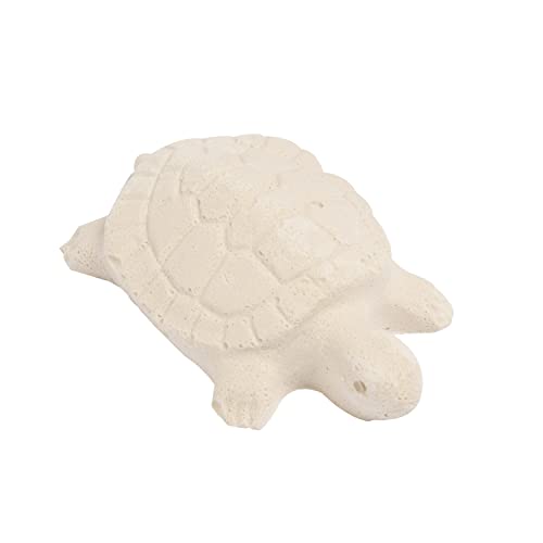 TetraFauna ReptoGuard Turtle Health Water Conditioner 1 Count, Slow-Release (Pack of 2) - size: 1-Count (Pack of 2)