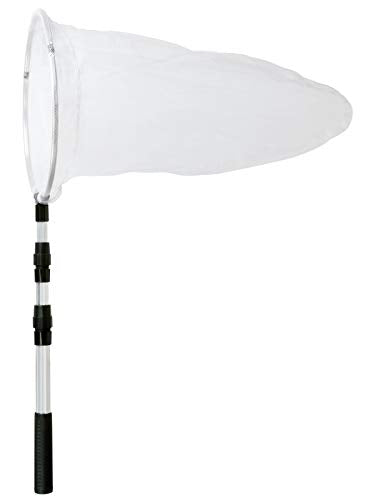 Insect and Butterfly Net with 12" Ring, 24" Net Depth, Handle Extends to 36 Inches - size: 12" ring, 36" handle