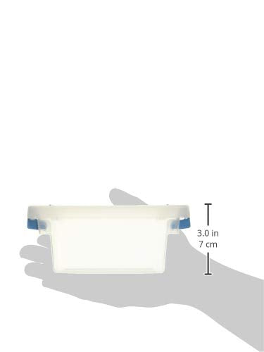 STERILITE Mini Clip Box Clear Base & Lid Aquarium Blue Latches
