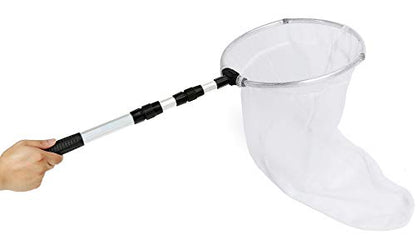 Insect and Butterfly Net with 12" Ring, 24" Net Depth, Handle Extends to 36 Inches - size: 12" ring, 36" handle