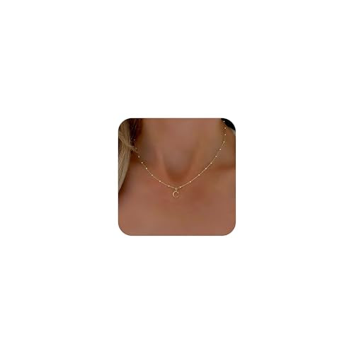 Initial Necklaces for Women, Dainty A-Z Pendant Letter Charm Necklace Personalized Name Necklaces for Women Trendy Jewelry Gift - color: C, style: G