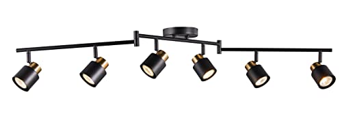 6 Light Foldable Track Lighting Kit, Matt Black Brass Finish Adjustable with Moden Flush Mount Ceiling Spotlight for Kitchen,Dining,Living Room,Home Improvement - size: 6 Light Black