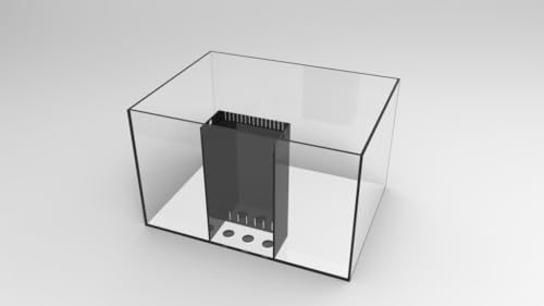 66 Gallon Starfire Rimless Aquariums 32x24x20 10mm Built in Overflow - size: 66Gal 32x24x20" 10mm