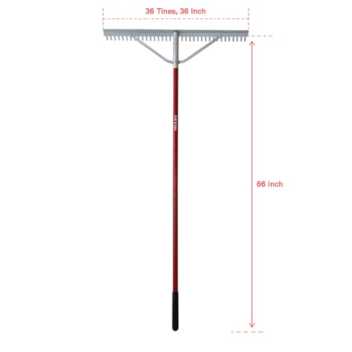 KYLIN 36 Inch / 36 Tines Aluminum Landscape Rake with 66 Inch Extra-Long Handle, Versatile Rake for Lawn Care,Loosening Soil, Weeding, Leveling Gravel, Beach Sand - Lighweight & Rust Proof
