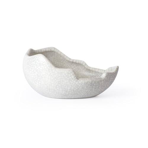 Galápagos (05456) Heavyweight Ceramic Egg Dish - Hygienic, Spill-Proof Bowl for Reptile & Terrarium Habitats, Perfect for Bearded Dragons, Geckos, Snakes, Hermit Crabs & More, Medium (5.5in x 2.75in) - size: Medium (5.5 in x 2.75 in)