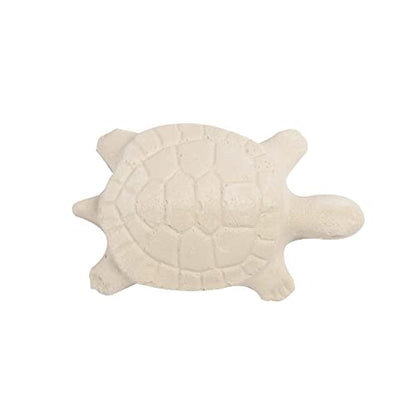 TetraFauna ReptoGuard Turtle Health Water Conditioner 1 Count, Slow-Release (Pack of 2) - size: 1-Count (Pack of 2)