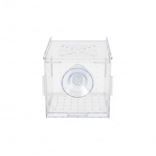 Aquarium Isolation Box, Clear Acrylic Internal Tank Divider for Fry and Small Fish, 3.1 x 3.1 x 3.1 Inch (1 PC)