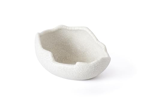 Galápagos (05456) Heavyweight Ceramic Egg Dish - Hygienic, Spill-Proof Bowl for Reptile & Terrarium Habitats, Perfect for Bearded Dragons, Geckos, Snakes, Hermit Crabs & More, Medium (5.5in x 2.75in) - size: Medium (5.5 in x 2.75 in)