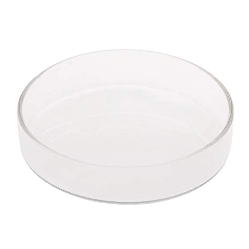 Shrimp Feeder Dish Glass Feeding Tray Aquarium Fish For Tank Reptiles Round Bowl 3.9in 3.5in 3.2in 3.0in 2.6in 2.4i Fish Tank Supplies Shrimp Feeder Tube Shrimp Feeder Dish Shrimp Feeder Dish And - size: X-Large