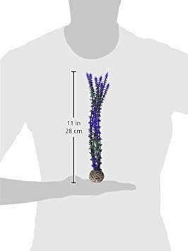 biOrb Blue/Purple Plant Pack Medium - color: Blue/Purple, size: Medium