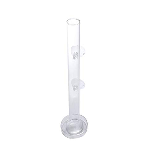 POPETPOP Feeder with Plate Shrimp Dish Feeder Container for Shrimp Tropical Fish African Dwarf Frog Aquarium Fish Tank - size: 20x3x3cm