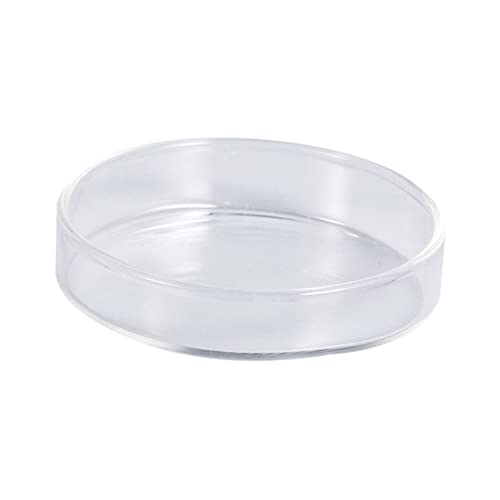 BESPORTBLE Shrimp Food Round Dishes Glass Feeder Bowl Fish Tank Feeder Multi-Purpose Ornamental Supplies