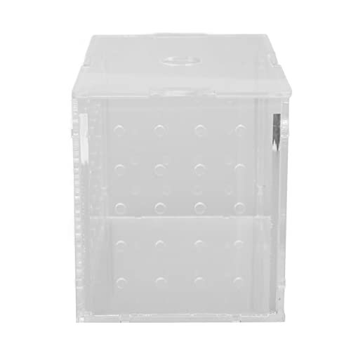 Fish Breeder Box, Aquarium Fish Breeding Box, High Transparency Acrylic Hatchery Incubator Tank with Suction Cups, Isolation Breeding Box for Baby Fishes Shrimp Clownfish, Safe Lid (11 * 7 * 8CM)