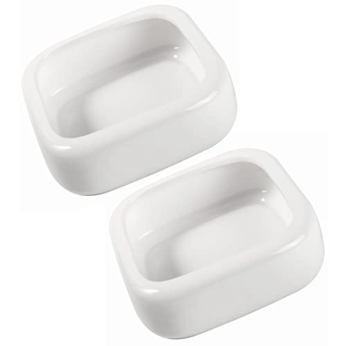 Ceramic Reptile Food Bowls, Reptile Water Food Dish (White, Small 2-Pack)