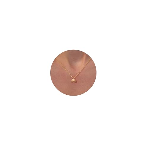 VRIUA Gold Necklace for Women, 14K Gold Plated Dainty Charm Necklace - color: Rainbow