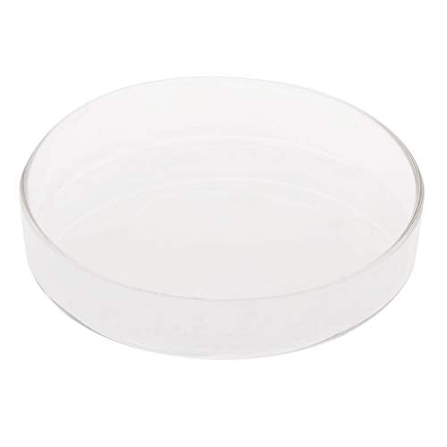 Shrimp Feeder Dish Glass Feeding Tray Aquarium Fish For Tank Reptiles Round Bowl 3.9in 3.5in 3.2in 3.0in 2.6in 2.4i Fish Tank Supplies Shrimp Feeder Tube Shrimp Feeder Dish Shrimp Feeder Dish And