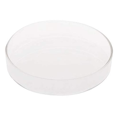 Shrimp Feeder Dish Glass Feeding Tray Aquarium Fish For Tank Reptiles Round Bowl 3.9in 3.5in 3.2in 3.0in 2.6in 2.4i Fish Tank Supplies Shrimp Feeder Tube Shrimp Feeder Dish Shrimp Feeder Dish And
