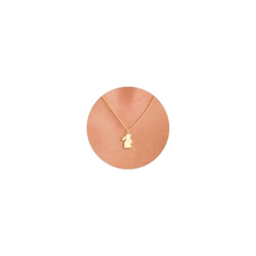 VRIUA Gold Necklace for Women, 14K Gold Plated Dainty Charm Necklace - color: Bunny