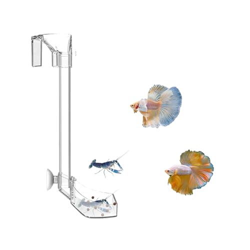Aquarium Fish Shrimp Feeding Dish Set - Clear Feeder Tube and Dish With Cleaning Brush and Measuring Spoon for Shrimp - Prevents Food Scattering - Supplies for Small Fish - size: Small