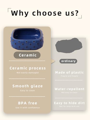 2-Pcs Ceramic Reptile Food Bowl, Mini Reptile Feeder (Farmhouse Blue) | Stable Base Design, Smooth Surface for Easy Cleaning, Safe Feeding Solution, Compact Habitat Accessory, Everyday Use - color: Farmhouse Blue